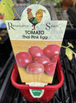 TOMATOES ADVANCED 10CM POTS