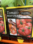 TOMATOES ADVANCED 10CM POTS