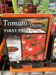 TOMATOES ADVANCED 10CM POTS