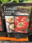 TOMATOES ADVANCED 10CM POTS