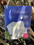ROSE STANDARD 3FT BRILLIANCE 20CM