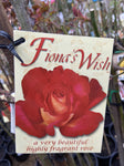 ROSA STANDARD FIONA'S WISH 3FT BARE ROOT