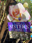 ROSA STANDARD 3FT THE SISTER'S ROSE 20CM