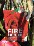 ROSA STANDARD 3FT FIRE FIGHTER 20CM