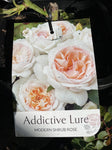 ROSA ADDICTIVE LURE 20CM