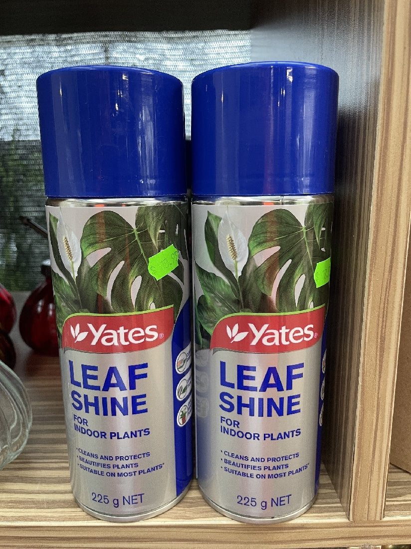 YATES LEAF SHINE AEROSOL 225 GR Poyntons Nursery