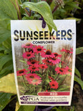 ECHINACEA RED SUNSEEKERS 14CM