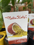 NELLIE KELLY PASSIONFRUIT PANAMA RED GRAFTED