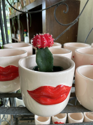 lips plant pot POT RED LIPS CERAMIC SMALL PINK – Poyntons Nursery